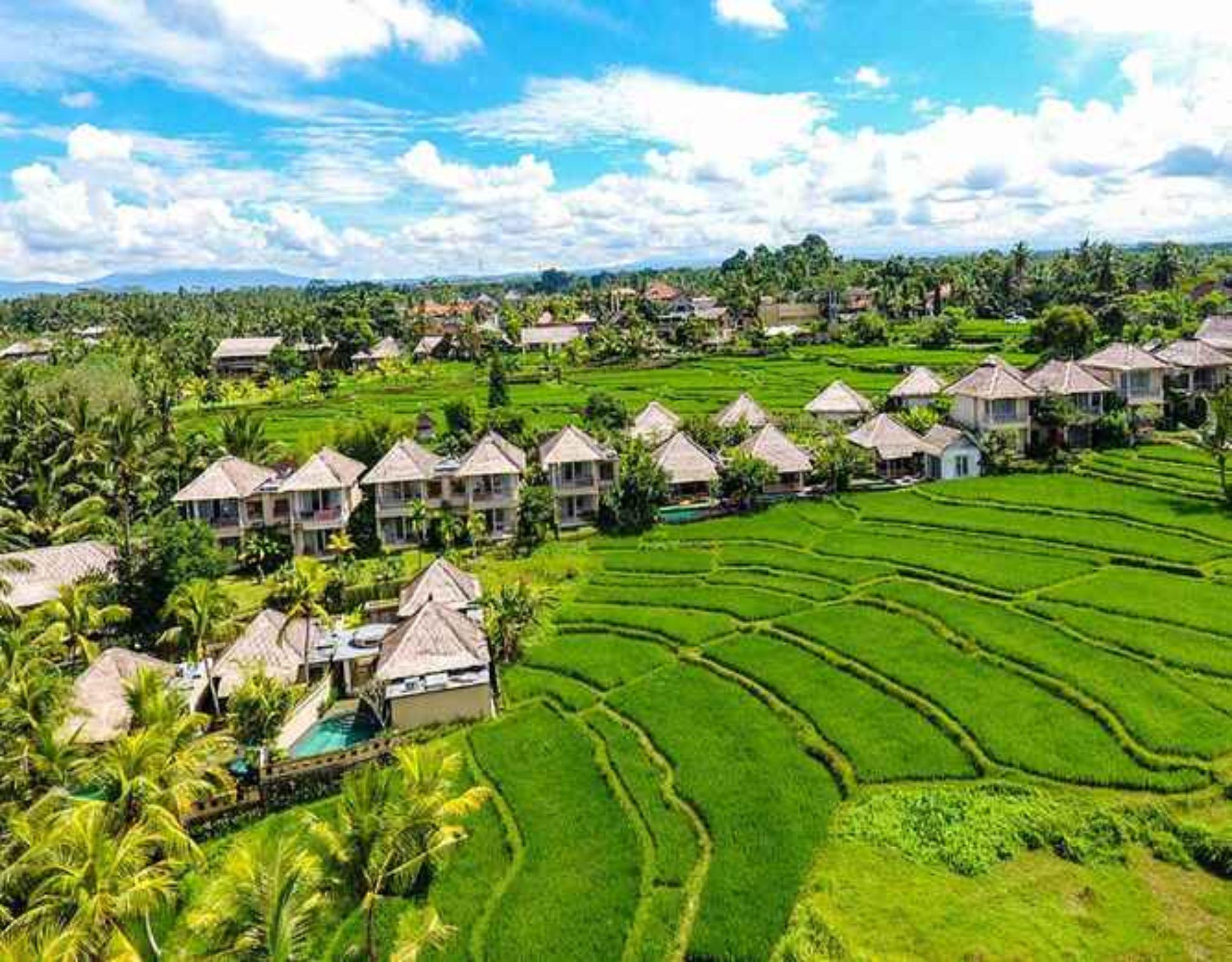 Mesari Hotel Ubud Eksteriør bilde