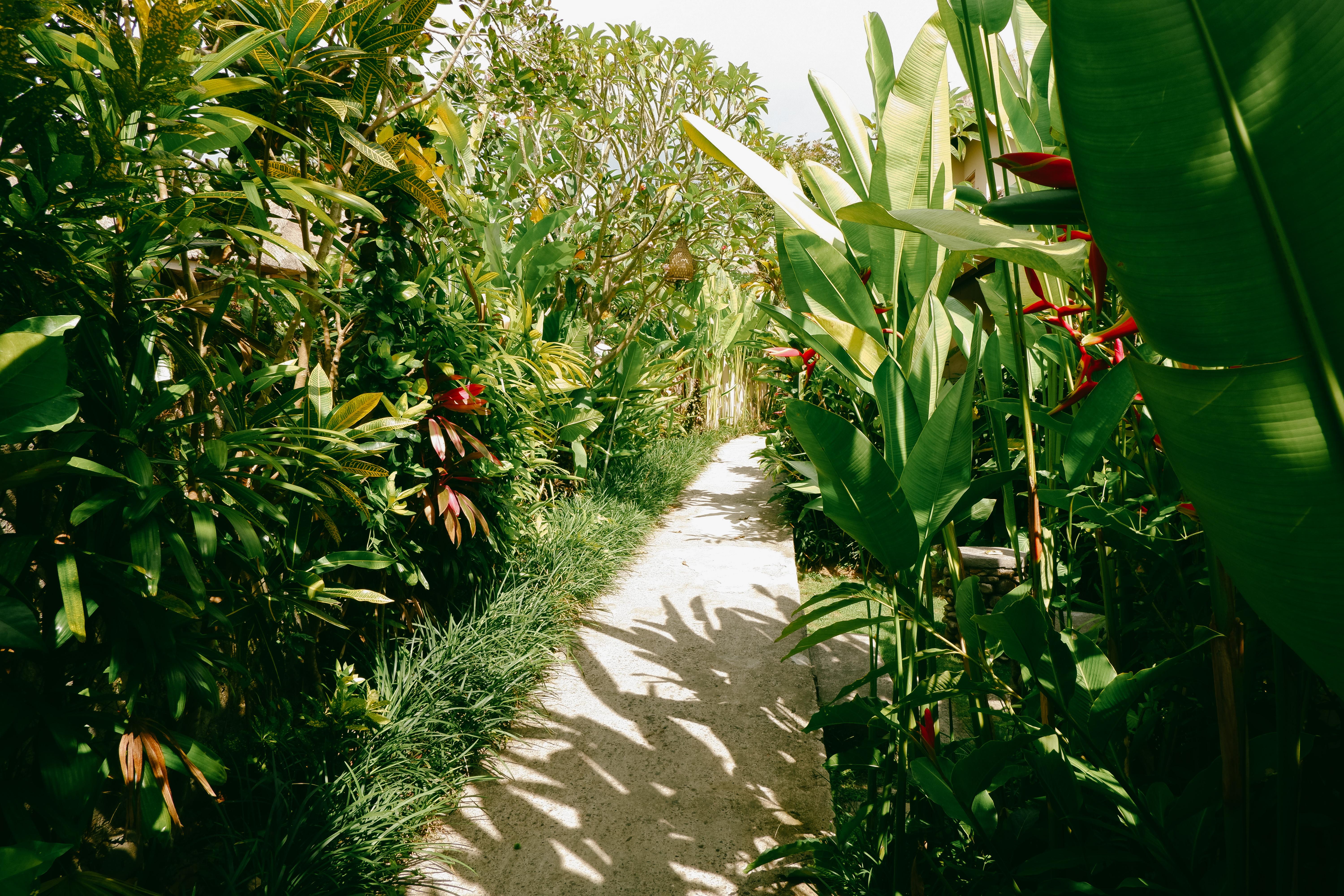 Mesari Hotel Ubud Eksteriør bilde