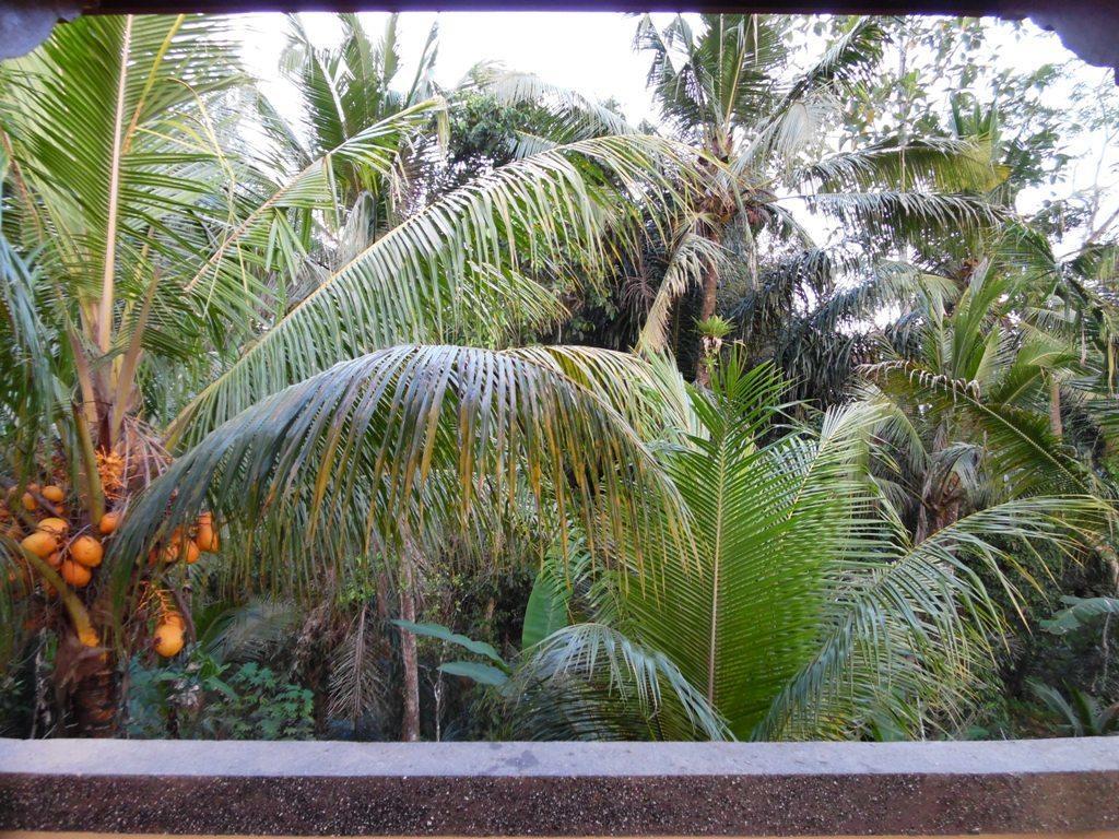 Mesari Hotel Ubud Eksteriør bilde