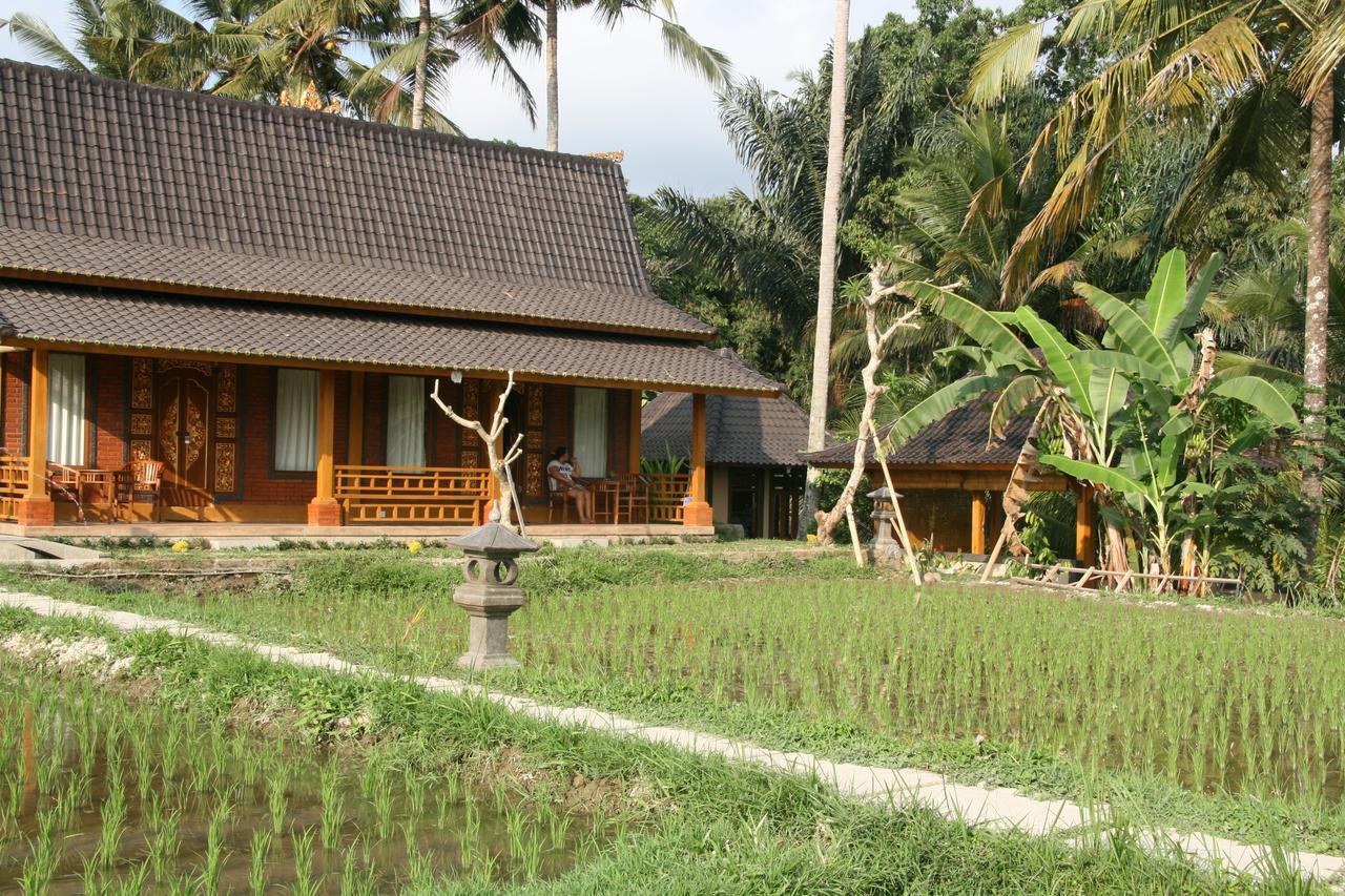 Mesari Hotel Ubud Eksteriør bilde