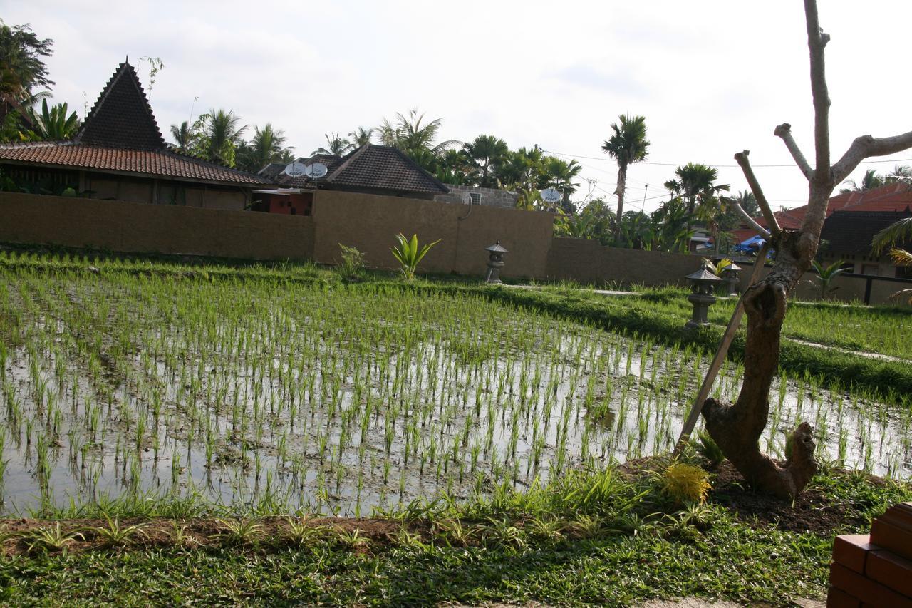 Mesari Hotel Ubud Eksteriør bilde